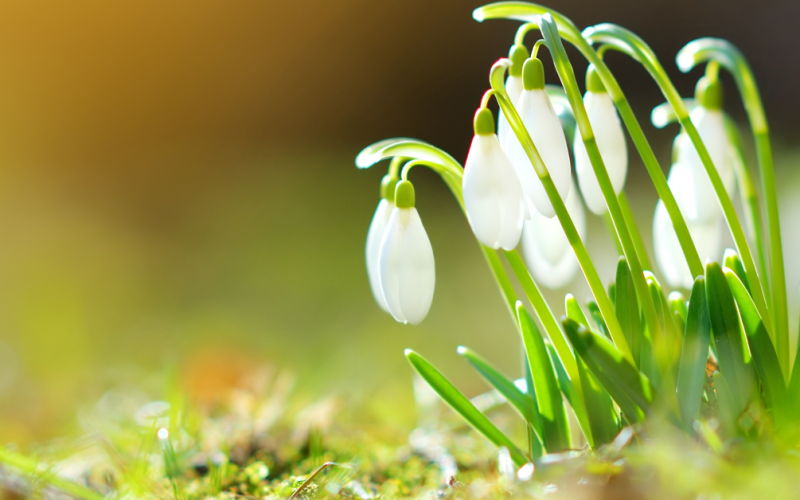 Forårets helligedage.