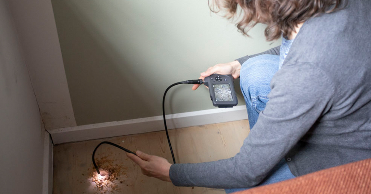 Webinar: Lægning af trægulve