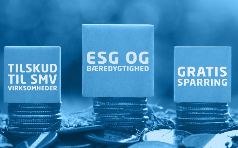 ESG - gratis sparring og tilskud.