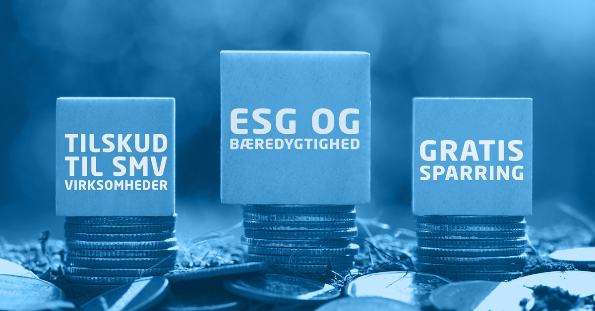 ESG – gratis hjælp og tilskud, de færreste kender til