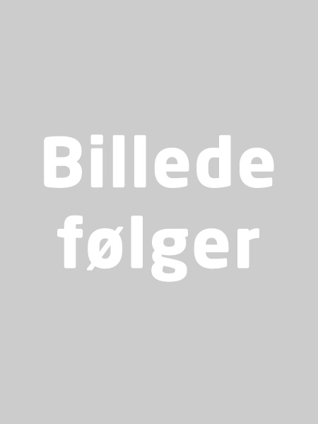 Billede følger